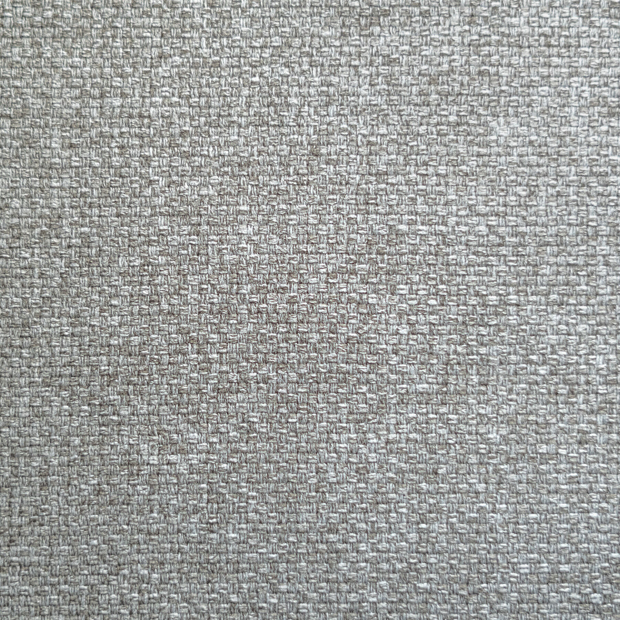 Casey Sleeper Loveseat - QK1040477_LUON_SW1_SW