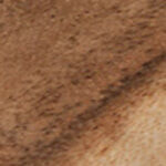 Natures Edge 60 Inch Dining Table - QK1042396_JOFR_SW1_SW