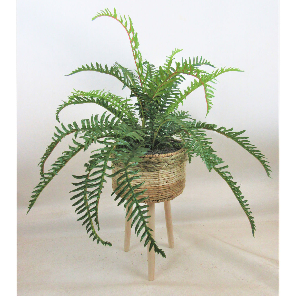 River Fern 40 Inch Greenery - QK1053542_LCGS_PRI_OL