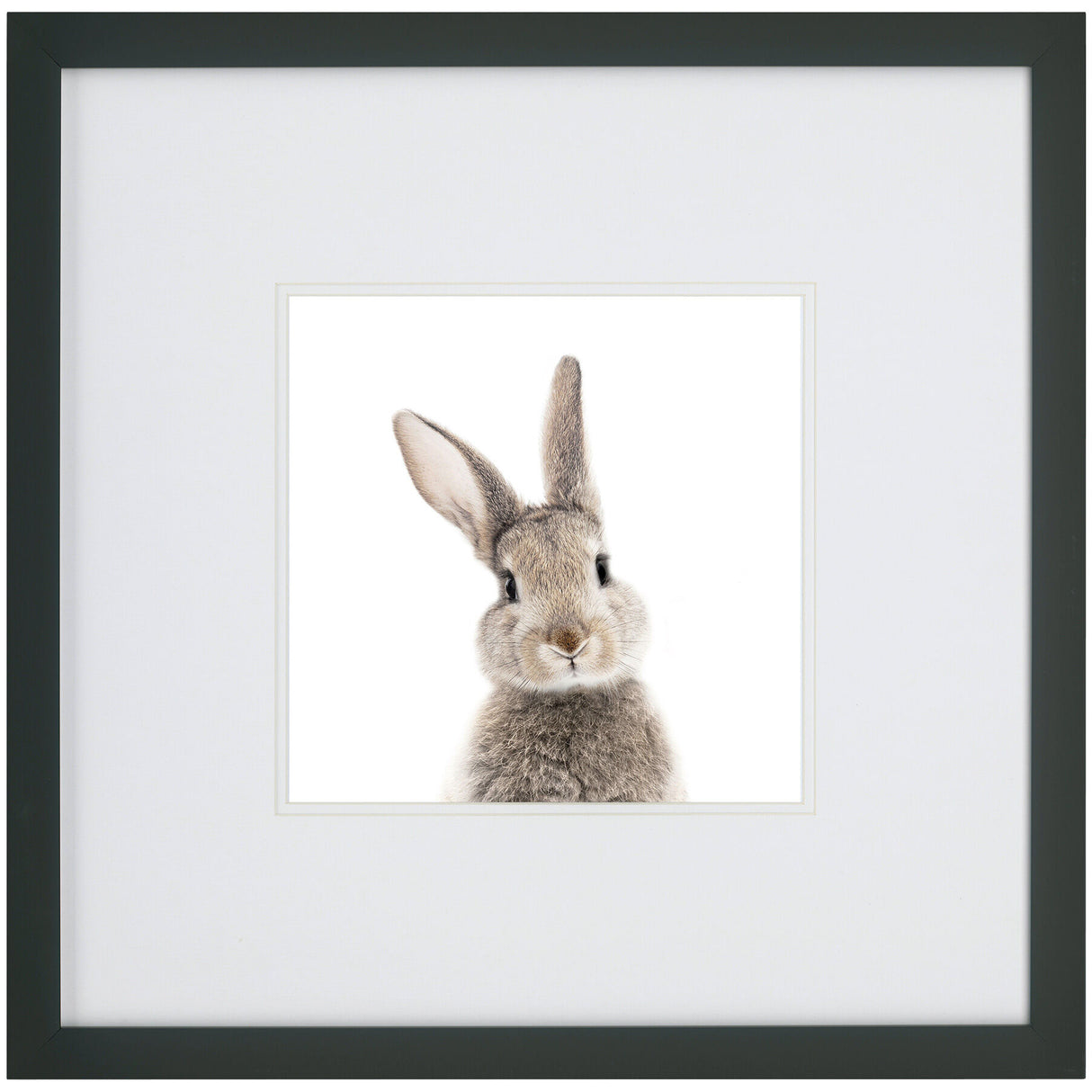 Kids Rabbit Face Wall Art - QK1062317_NORH_PRI_OL