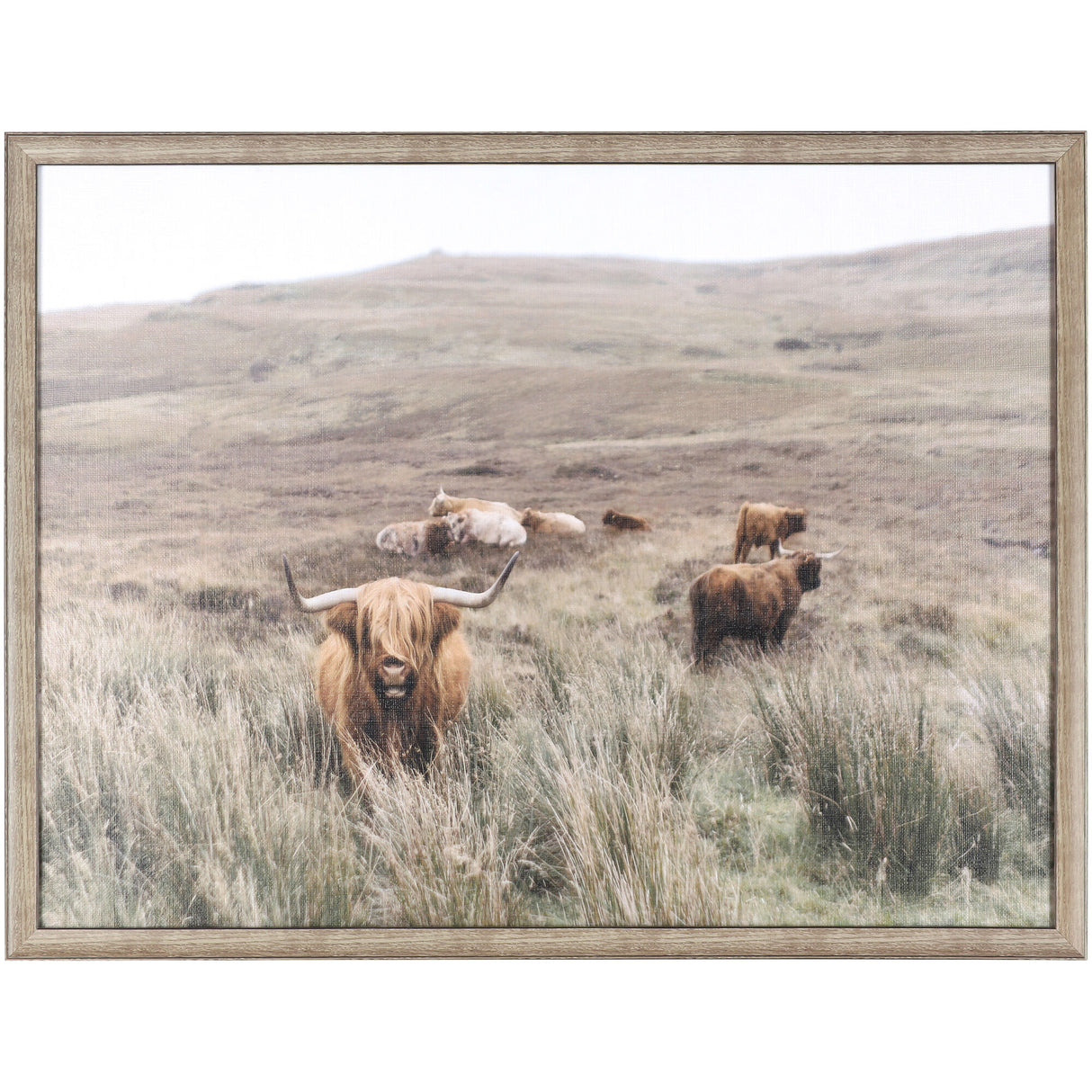 Herd Wall Art - QK1062814_NORH_PRI_OL