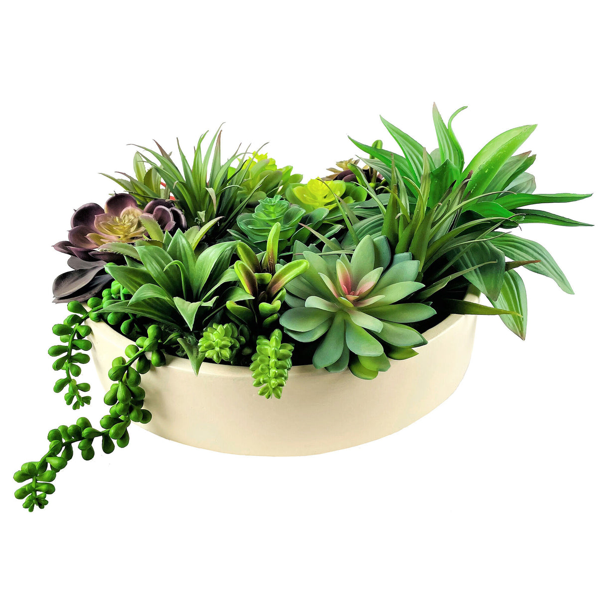Succulent Deluxe Garden - QK1062995_LCGS_PRI_OL