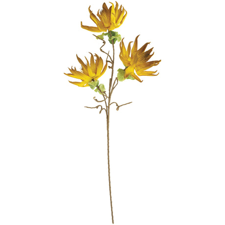 Botanical Dried Sunflowers Greenery - QK1066714_KALA_PRI_OL