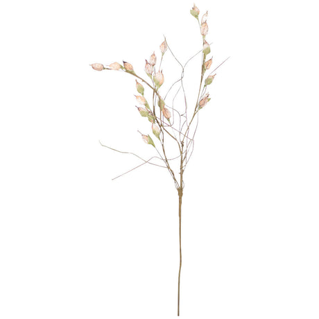 Botanical Seedlings Greenery - QK1066715_KALA_PRI_OL