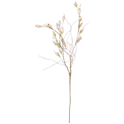 Botanical Seedlings Greenery