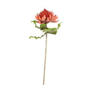 Botanical Crown Top Greenery - QK1066723_KALA_SW1_SW