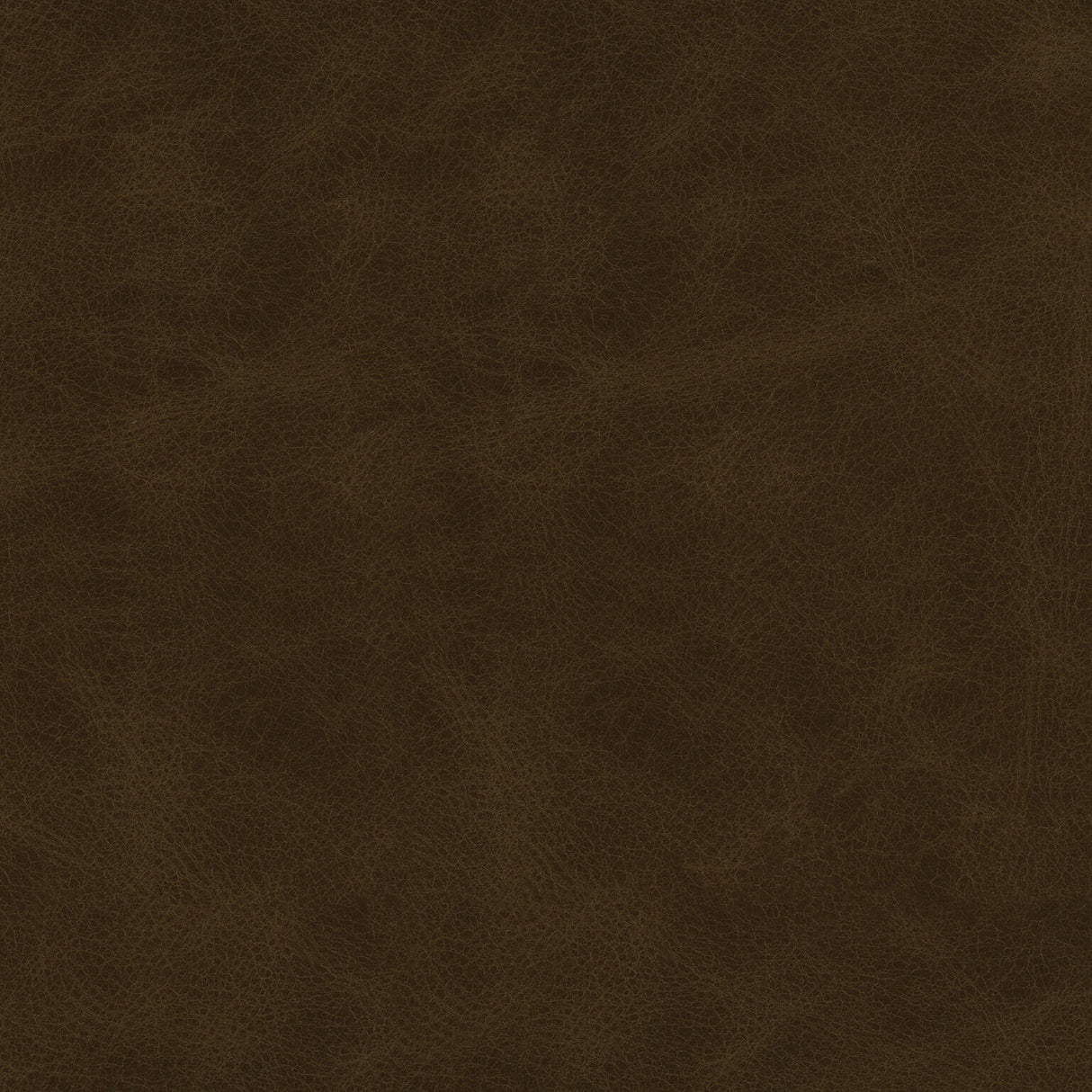 Burke Leather Accent Chair - QK1081535_DIME_SW1_SW