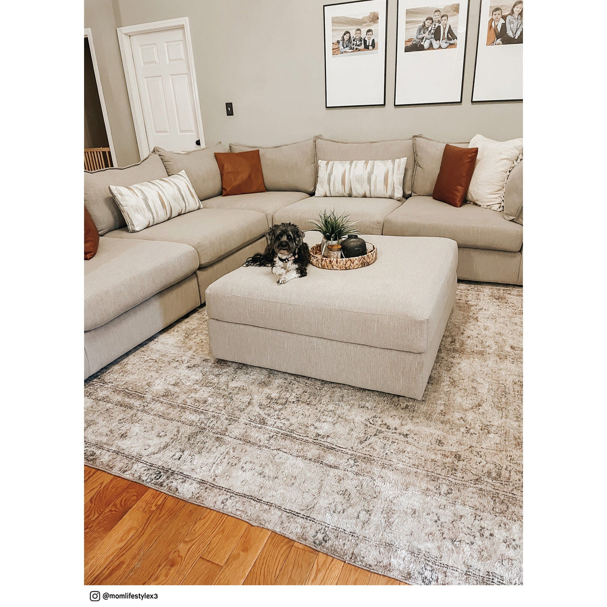 Floza 5 Piece Sectional