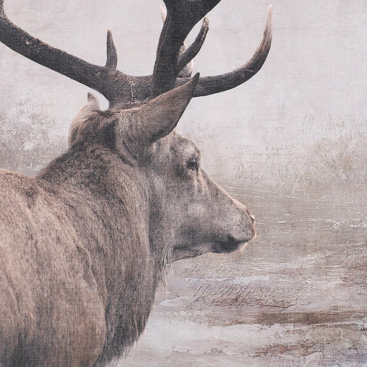 Swatch of the Deer Wall Art