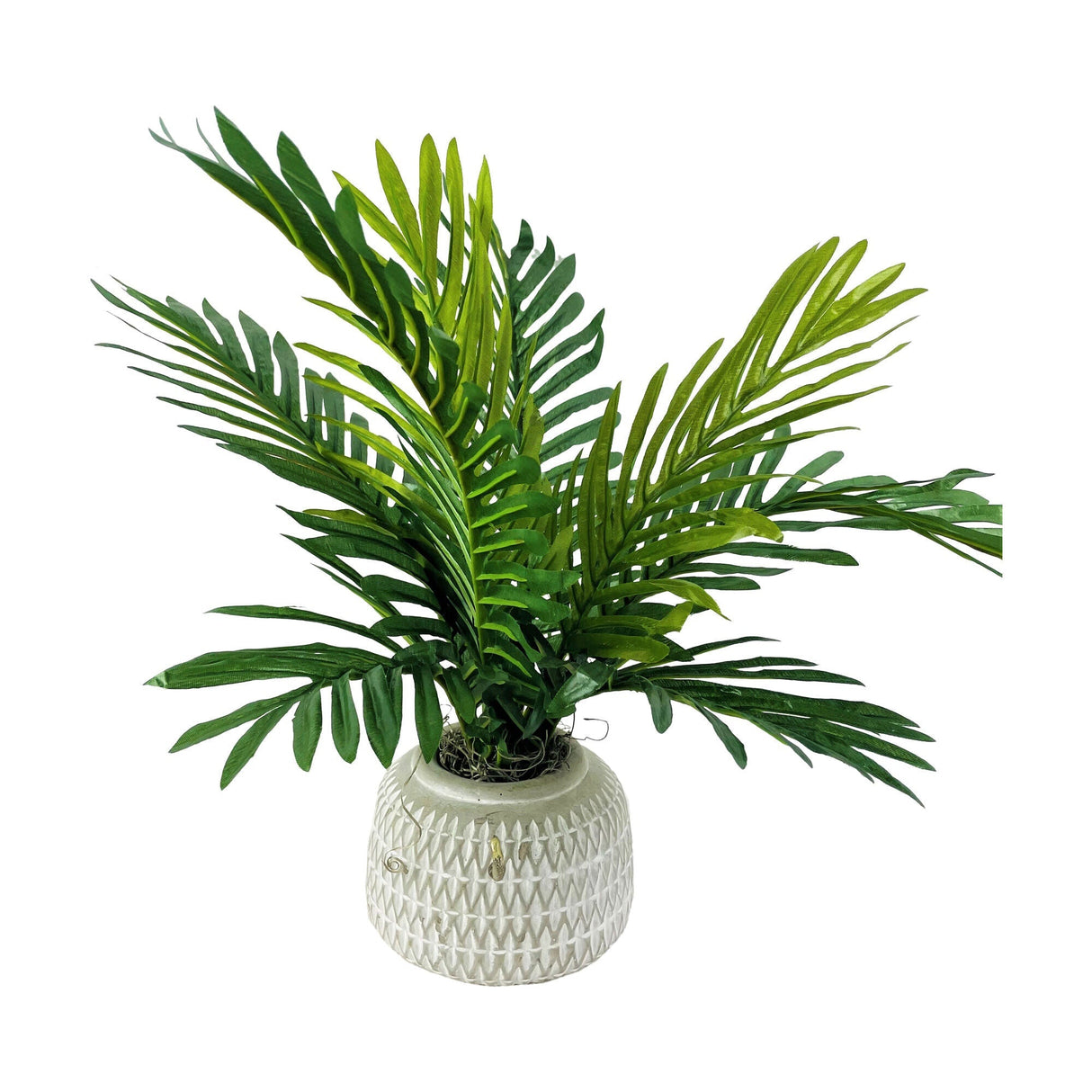 Palm 18 Inch Cement Pot