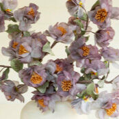 Swatch for the Botanical Pink Sweet Blooms Greenery