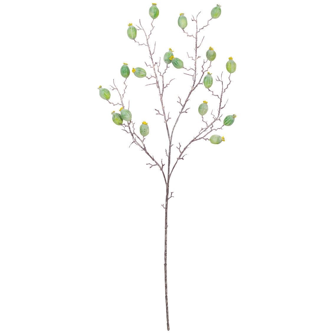 Botanical Branch Greenery