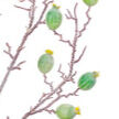 Botanical Branch Greenery