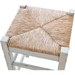 Mirimyn Counter Stool