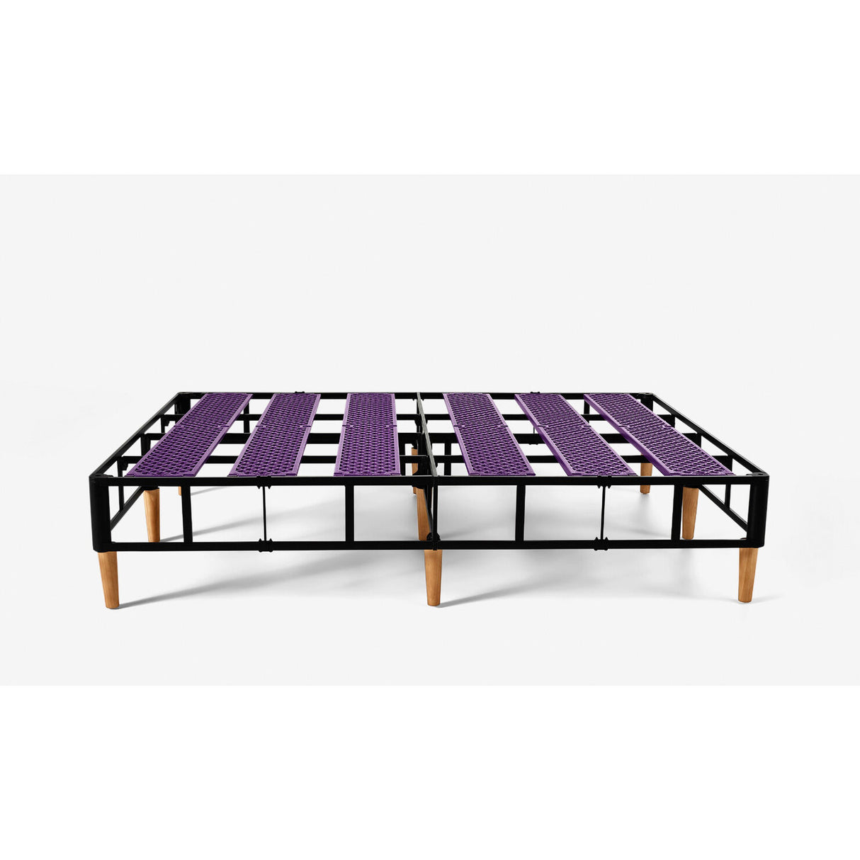 The Purple Foundation - QK1087296_PURL_IS1_OL