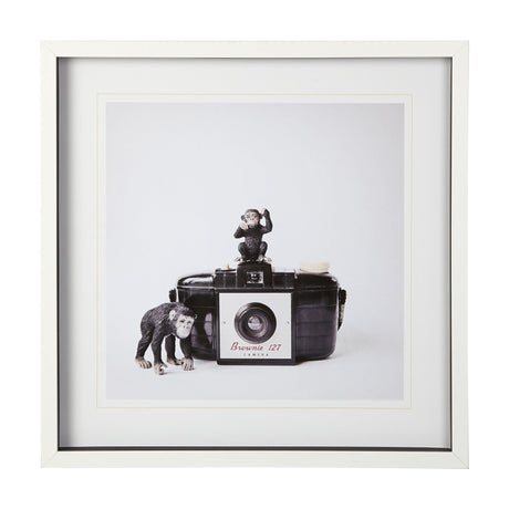 Monkeys Black Wall Art QK1087727