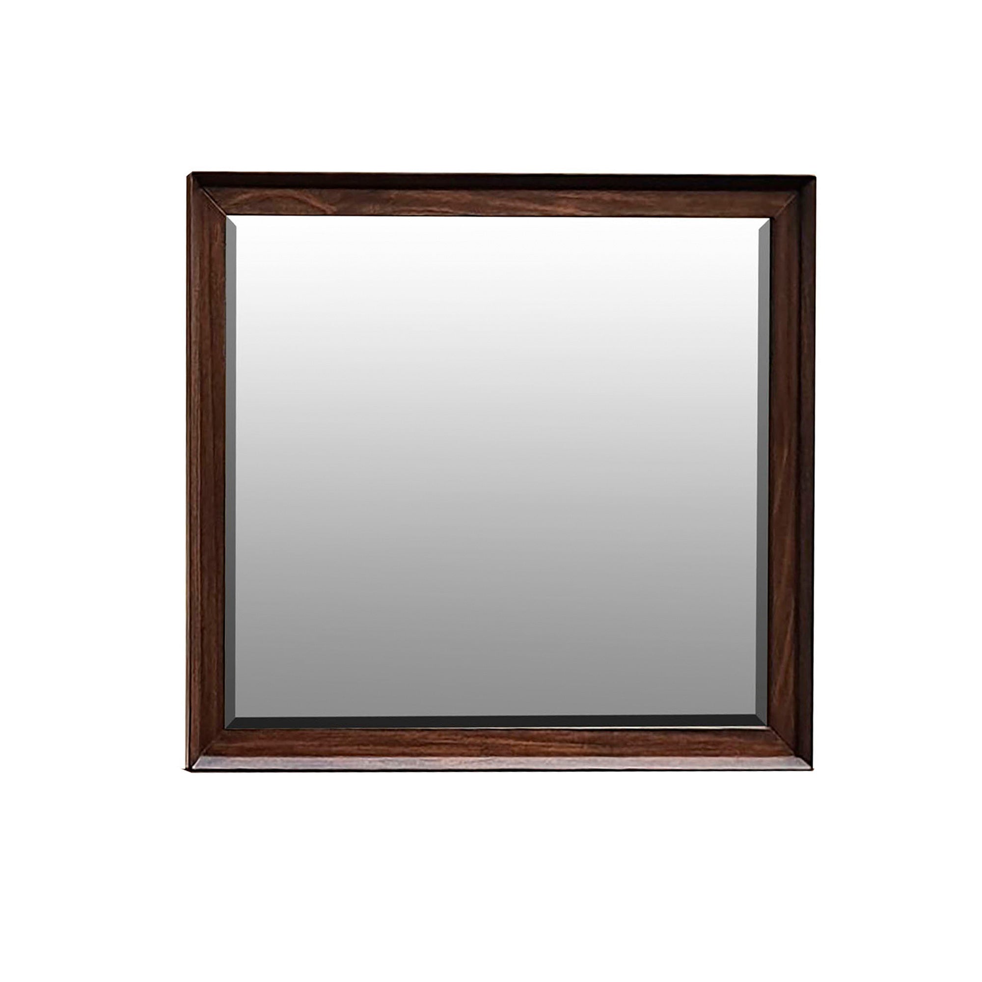 American Modern Mirror