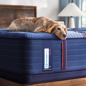 Sealy Posturepedic Elite Albany II Firm Tight Top Mattress