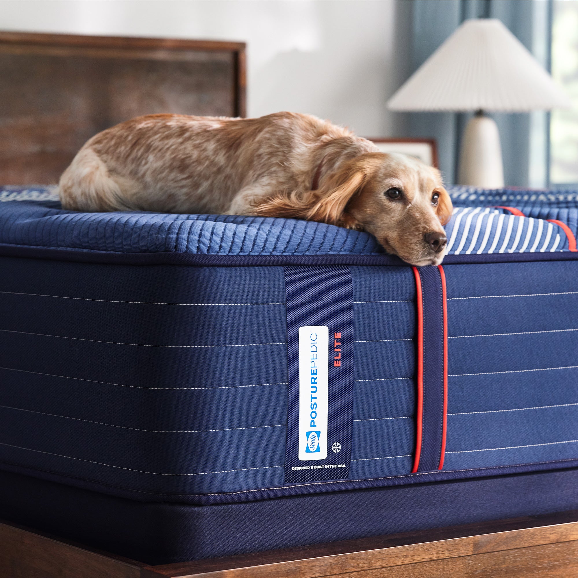 Sealy Posturepedic Elite Albany II Firm Tight Top Mattress