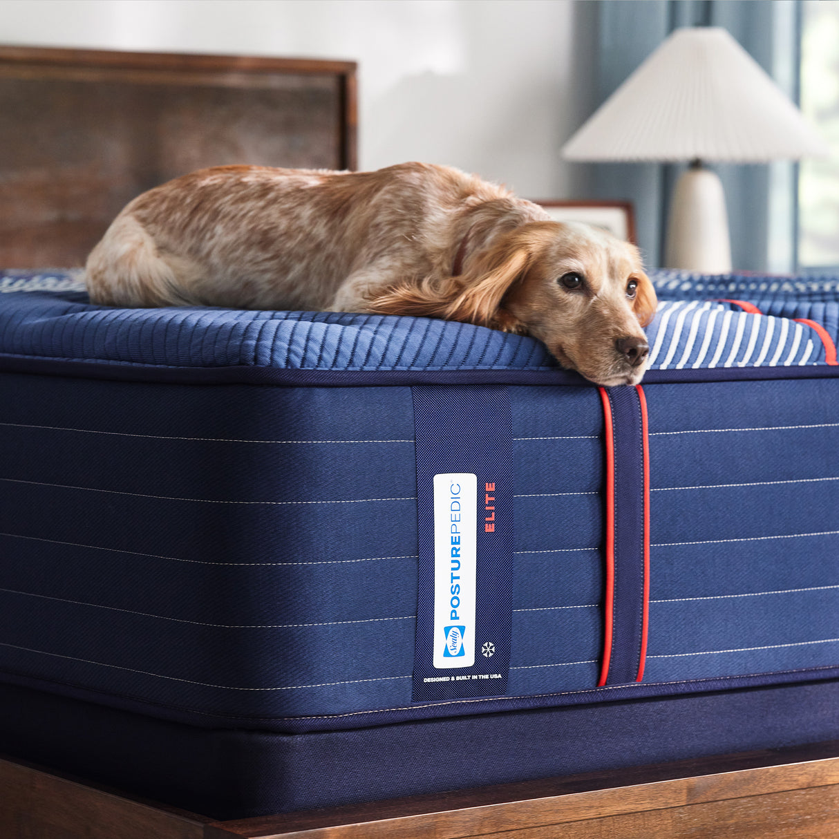Sealy Posturepedic Elite Albany II Firm Tight Top Mattress