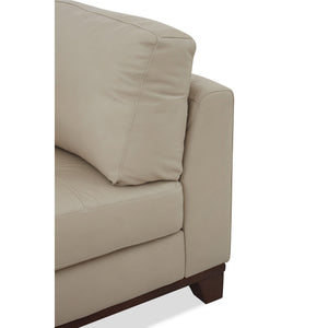 Branford 2 Piece Left Chaise Sectional