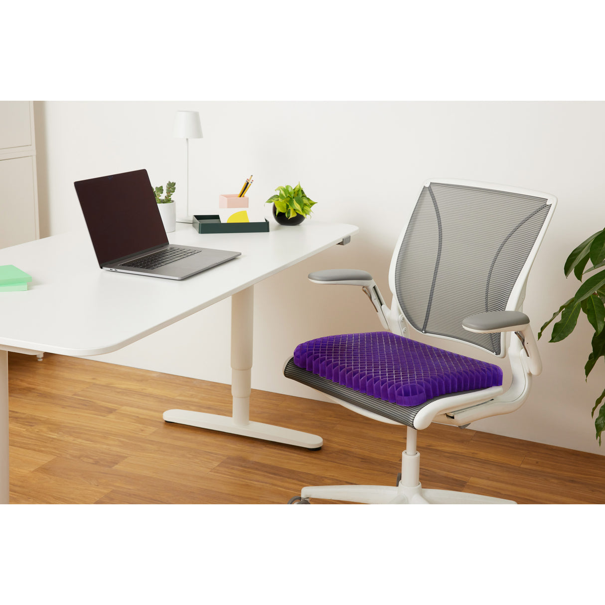 Royal Seat Cushion