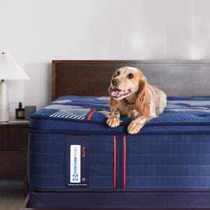 Sealy Posturepedic Elite Albany Soft Pillowtop Mattress