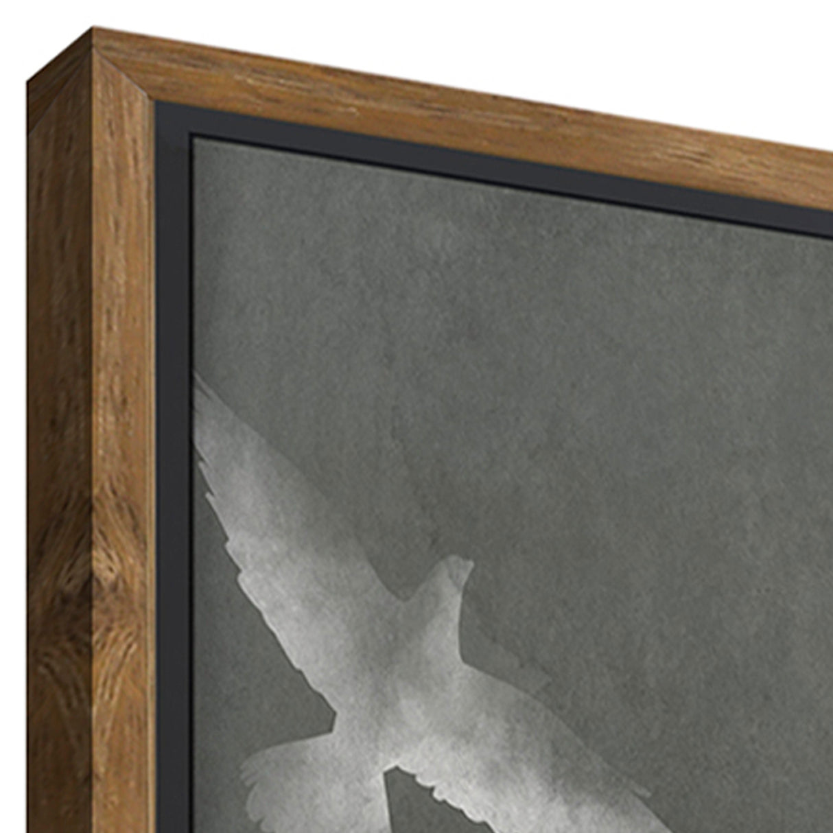 Detail view of Fly Wall Art