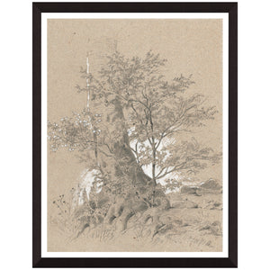 Creek In Forest Wall Art QK1100854