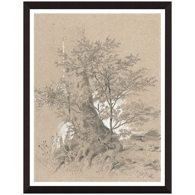 Creek In Forest Wall Art QK1100854