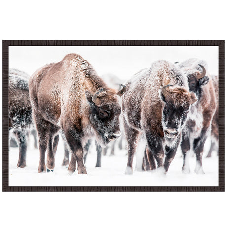 Winter Bison Wall Art QK1100860