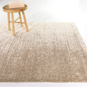 Kenoyer Modern Area Rug