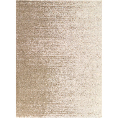 Kenoyer Modern Area Rug