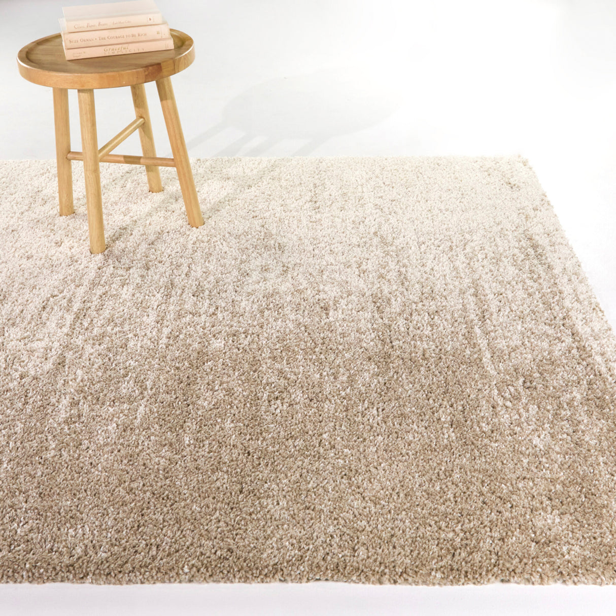 Kenoyer Modern Area Rug