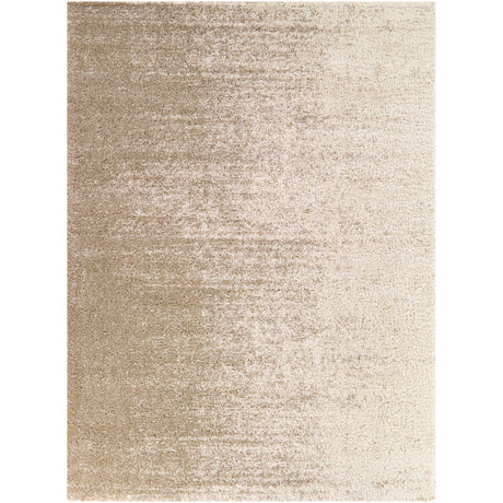 Kenoyer Modern Area Rug
