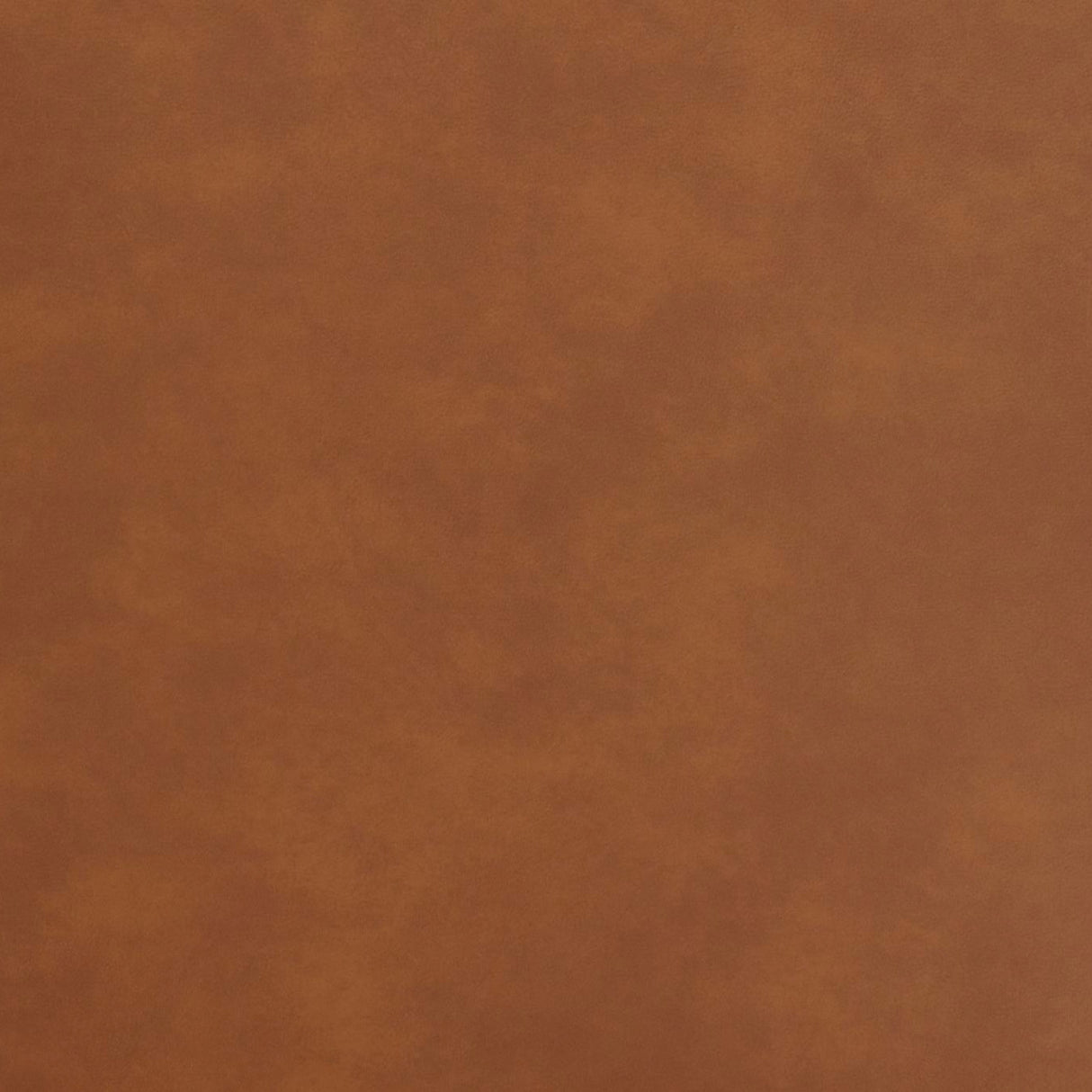 Belmont Rocker Recliner