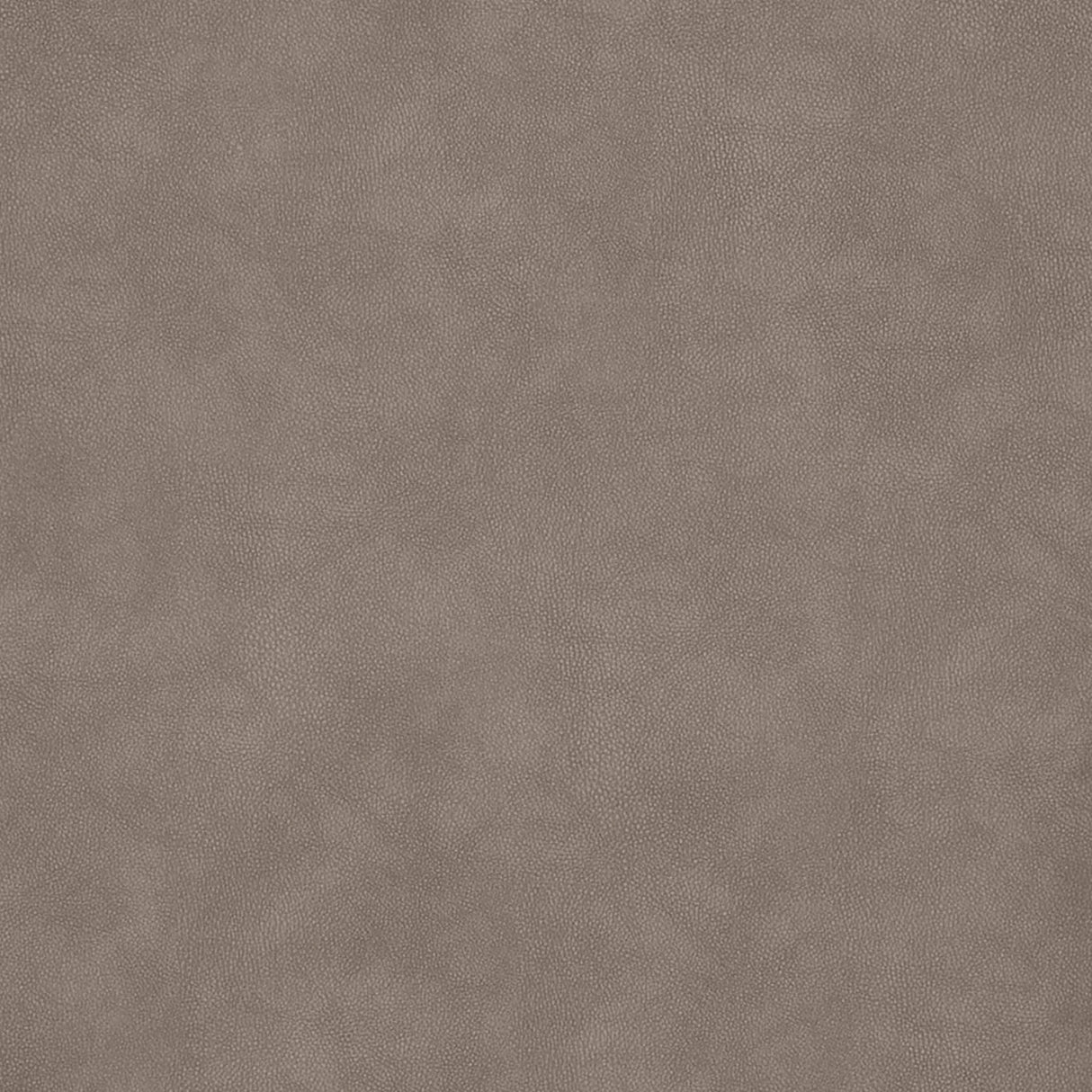 Kodie Rocker Recliner