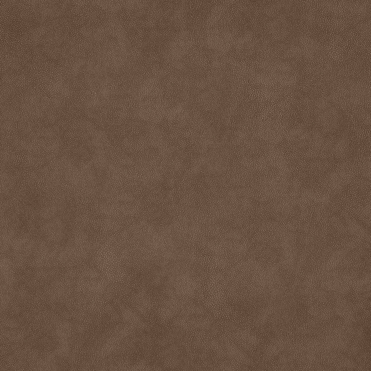 Kodie Rocker Recliner