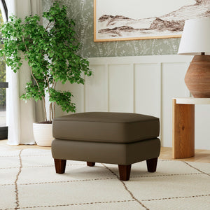 A room setting featuring Finley Dark Brown Leather Ottoman
