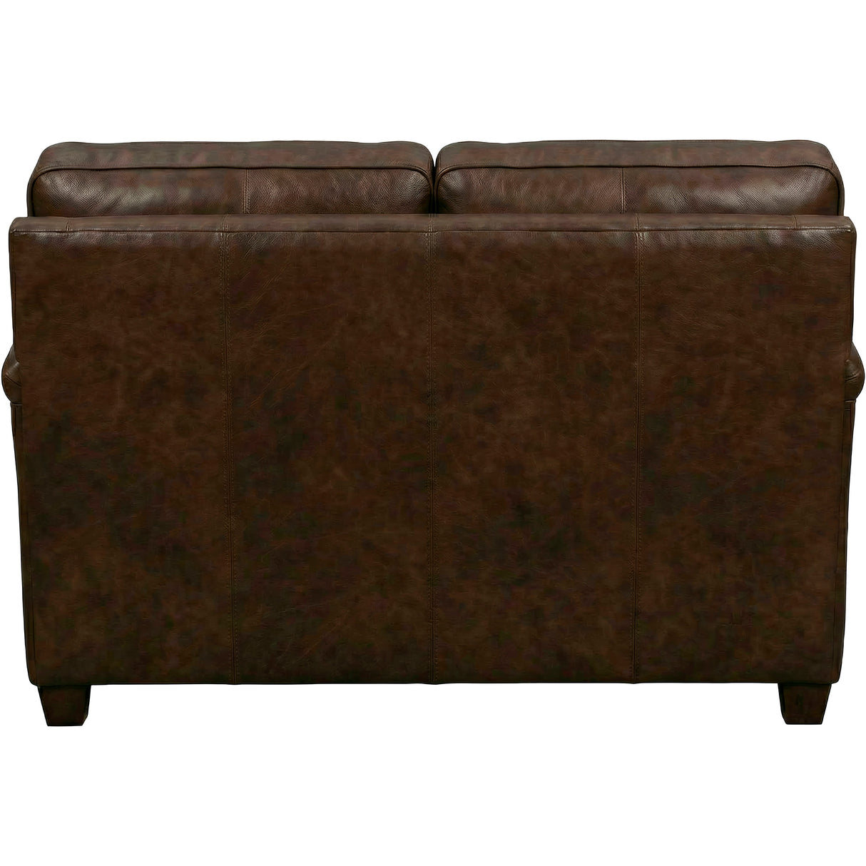 Back view of Warren Chocolate Feather Blend Leather Loveseat