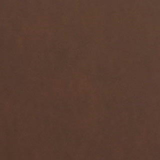 Swatch 2 for the Queen Shearling Mocha Saddlebrook Sleeper