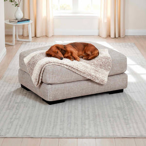 Room setting 4 featuring Wake Otter Ottoman
