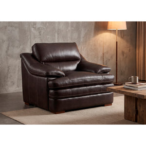 A room setting featuring Ellsworth Dark Brown Chair