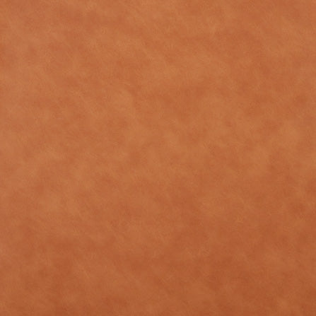 Swatch for the Nicoya Buckskin Dining Chair