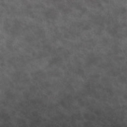 Swatch for the Nicoya Steel Gray Dining Chair
