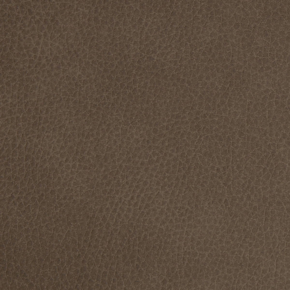 Swatch for the Winslow Cappuccino Immersive Sound Power Reclining Sofa