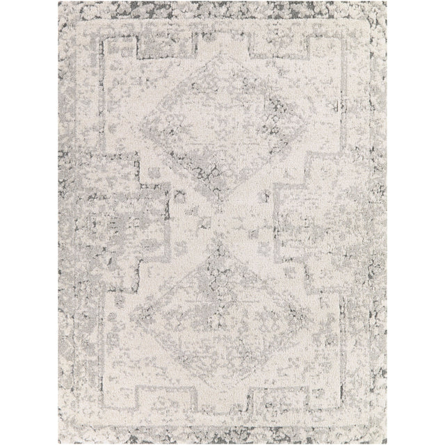 Hilaeira Gray 5x8 Rug QK1109795
