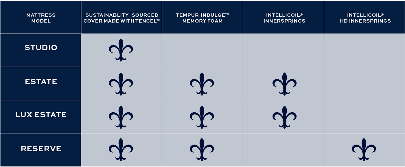 Table with mattress models and corresponding symbols on a blue background