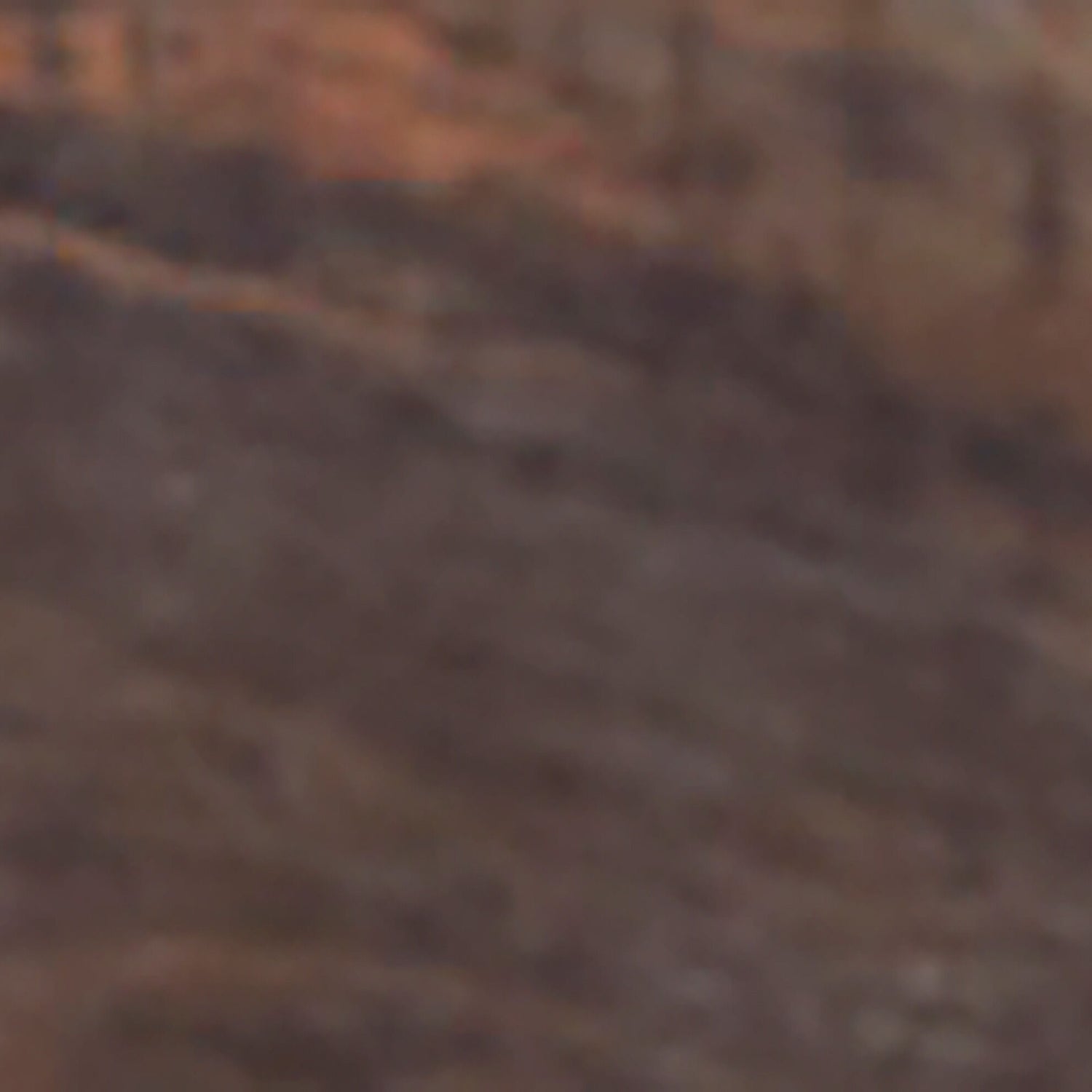 Drystan Bookcase Storage Bed - QK1029244_ASHL_SW1_SW