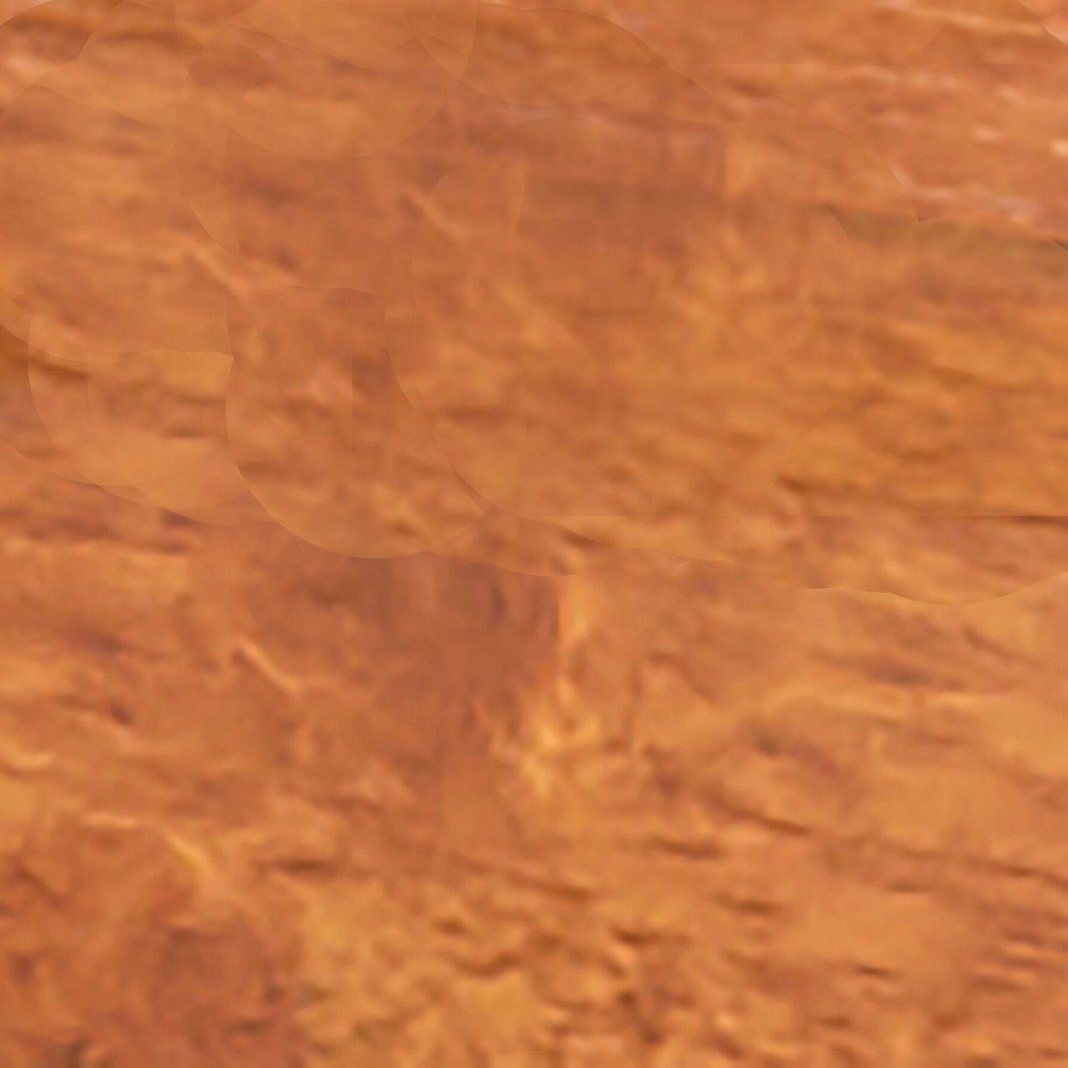 Acorn Hill 5 Piece Counter Set - QK1032223_DAVF_SH_SW1_SW